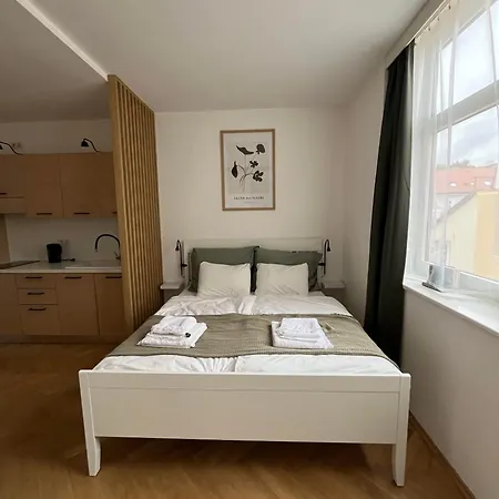 Apartment Brand New Studio In The Center Prag