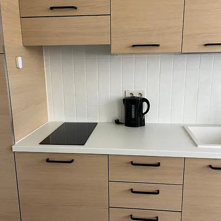 Brand New Studio In The Center 아파트 *